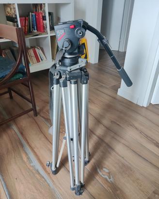 Cavalletto con testa fluida Manfrotto 