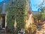 Immagine 17