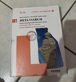 Meta viarum
