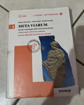 Meta viarum