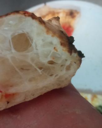 Pizzaiolo esperto