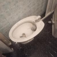 bidet e lavandino