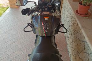 Benelli TRK 502