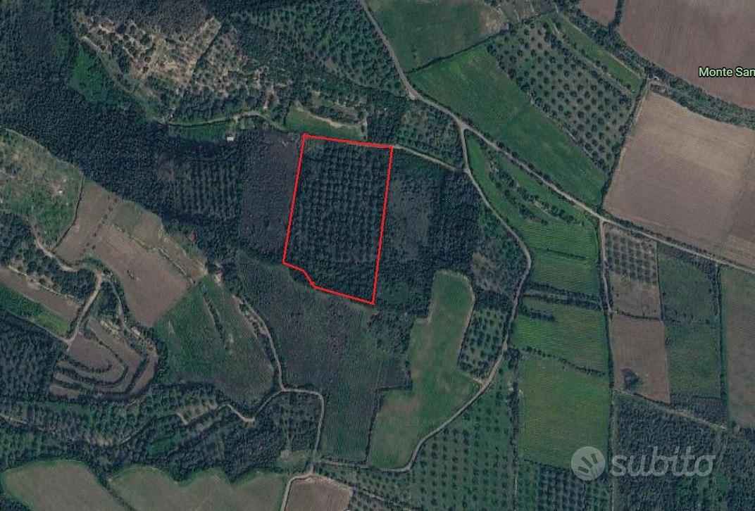 Terreni agricoli - Loc.Ruinas a partire da 28,000 - Vista 4