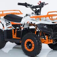 Quad atv 1000w 36V in garanzia per natale