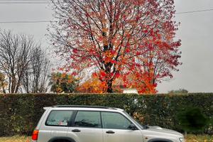 Subaru Forester Turbo