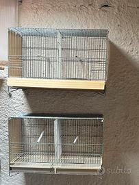 Gabbie domus molinari