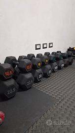 manubri palestra 
