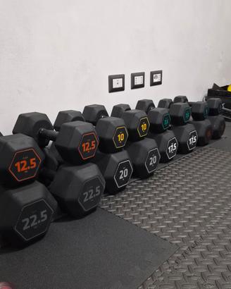 manubri palestra 