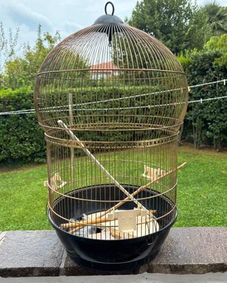 Gabbia uccelli