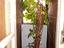 Immagine 29