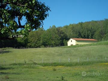 Struttura per maneggio