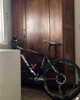 Bicicletta bianchi 26 carbonio