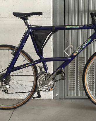 Mountain bike Alpine Star