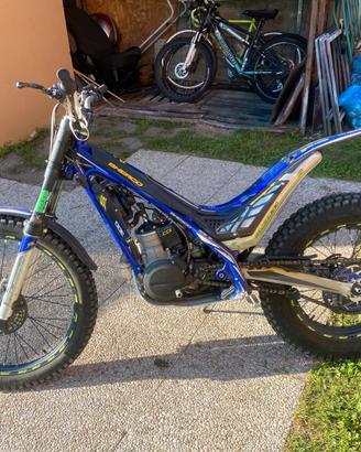 Sherco  st 300 anno 2015