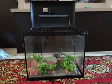 Acquario 10 litri