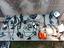 Immagine 3