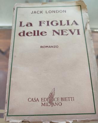 romanzo La figlia delle Nevi 