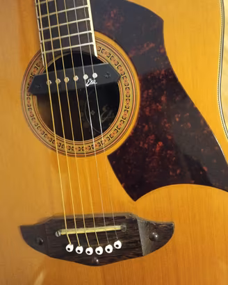 Chitarra acustica vintage EKO RIO BRAVO Made in It