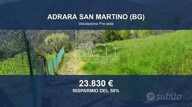 Immobile in asta di 11730 m² a Adrara San Martino
