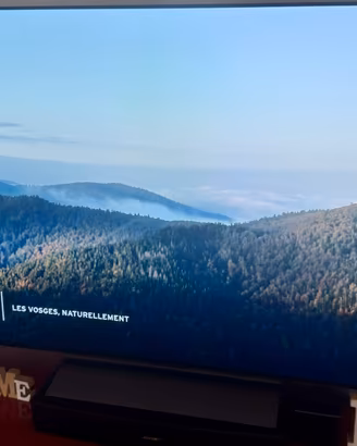 Tv LG Oled 55 pollici 4K- 55C44LA