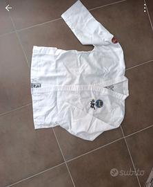 TAEKWONDO DIVISA