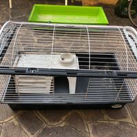 Grande gabbia per conigli poecellini d’india