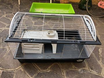 Grande gabbia per conigli poecellini d’india