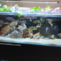 acquario con mobile in alluminio 