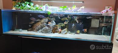 acquario con mobile in alluminio 