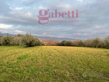 Terreno Agricolo Pignataro Maggiore