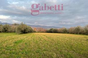 Terreno Agricolo Pignataro Maggiore