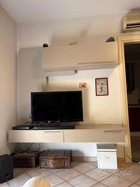 MOBILE TV
