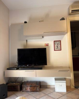 MOBILE TV