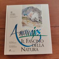 Libro sulla Sardegna con copertina rigida