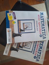 matematica allo specchio edizione blu 2