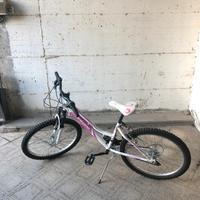 Bici da Mountain Bike