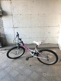 Bici da Mountain Bike