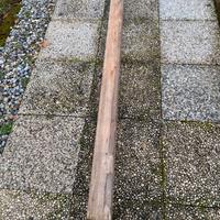 Trave in legno