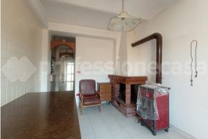 Terratetto Ateleta [2625VRG]