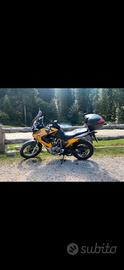 Transalp honda