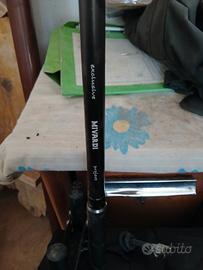 carpfishing 