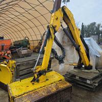 BRACCIO DECESPUGLIATORE TELESCOPICO