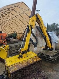 BRACCIO DECESPUGLIATORE TELESCOPICO