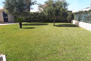Last Minute Agosto e Settembre Sicilia Marzamemi