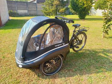 Cargo Bike Winther Kangaroo Luxe