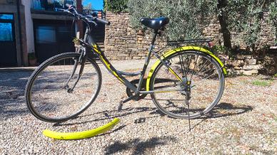Bici da passeggio con porta pacchi
