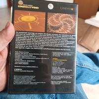 dvd cerchi nel grano