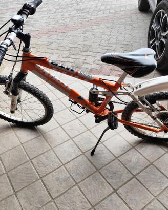 MTB Zephyr 20