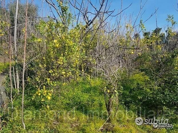 Terreno 4,2 ettari a Giarre - Vista 2